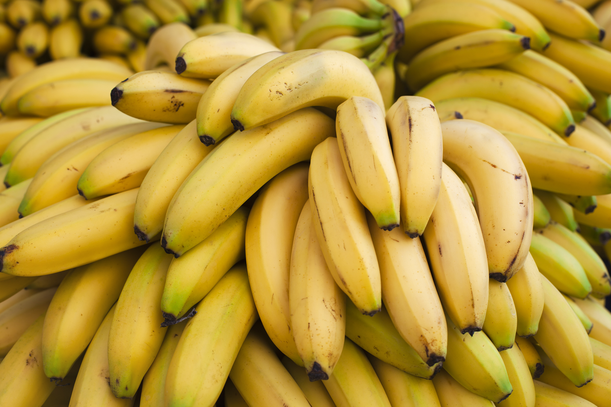 A stack of bananas